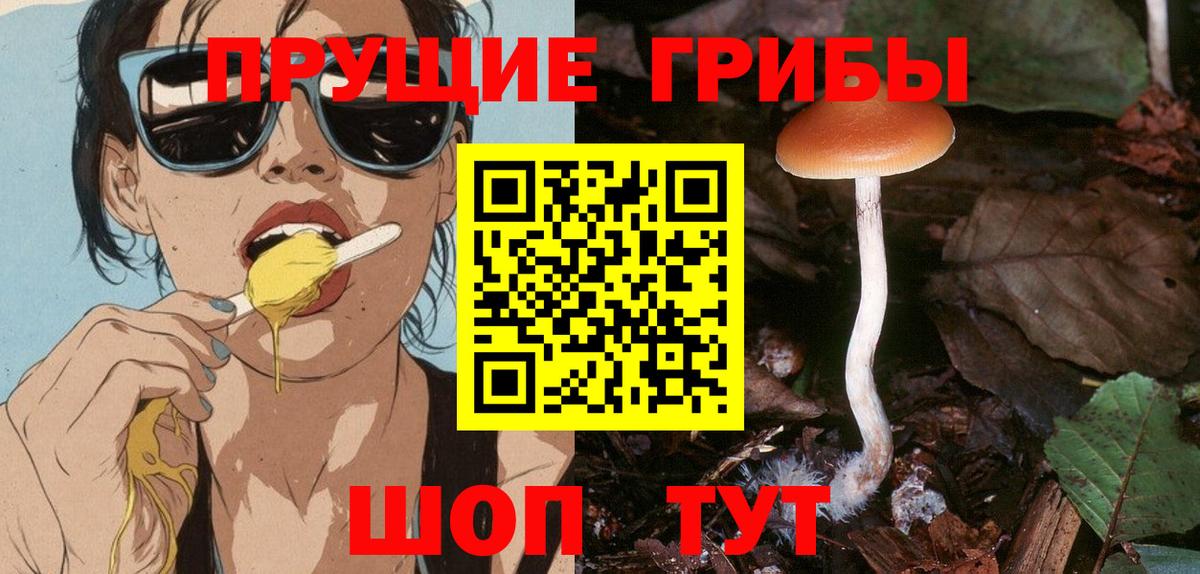 Псилоцибиновые грибы прущие грибы  Вход с VPN  Красноуфимск 